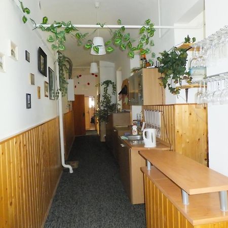 Ubytovani U Kovare Ústí nad Labem Екстериор снимка